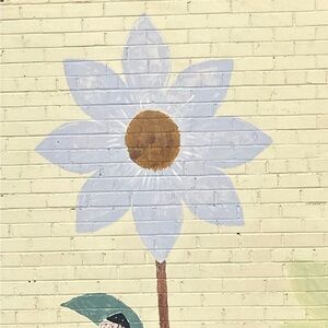 Meet your Posher, Hi